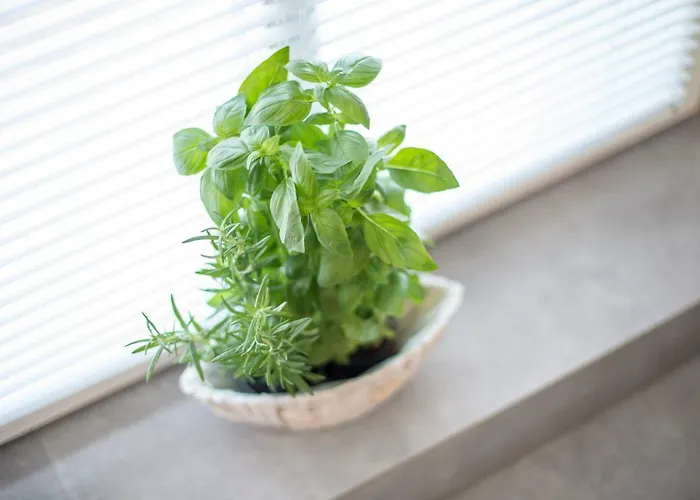 Apartamenty4you - Atlantic Апартаменты